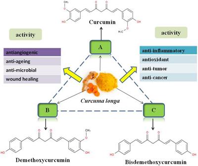 Curcumin and Intestinal Oxidative Stress of Pigs With Intrauterine Growth Retardation: A Review